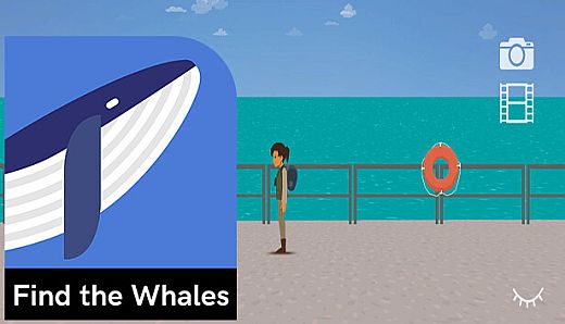 Find the Whales