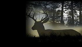 Deer Hunting Camp