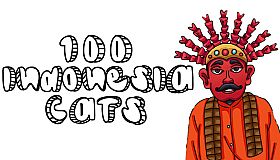 100 Indonesia Cats