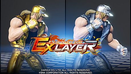 FIGHTING EX LAYER - Color Gold/Silver: Terry DLC