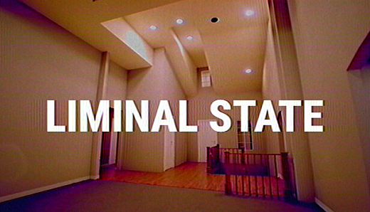 LIMINAL STATE