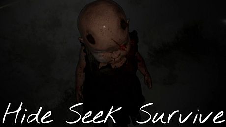 Hide Seek Survive Game