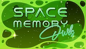 Space Memory: Owls