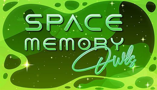 Space Memory: Owls