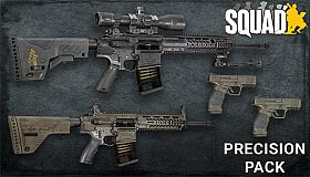 Squad Weapon Skins - Precision Strike Pack