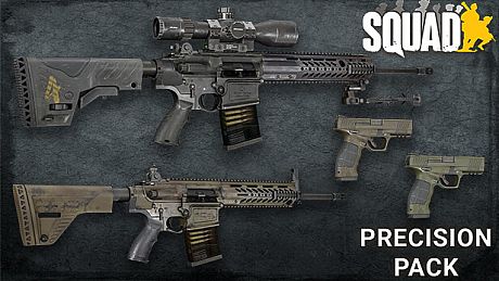Squad Weapon Skins - Precision Strike Pack DLC