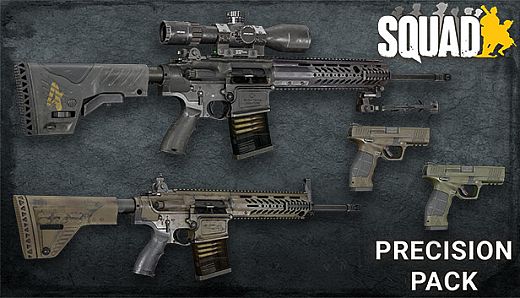 Squad Weapon Skins - Precision Strike Pack
