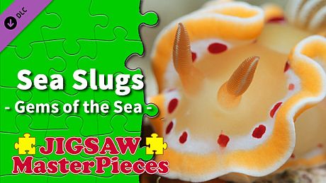 Jigsaw Masterpieces : Sea Slugs - Gems of the Sea - DLC
