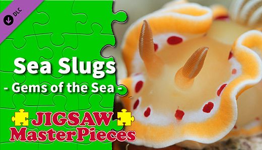 Jigsaw Masterpieces : Sea Slugs - Gems of the Sea -