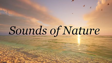 Sounds of Nature Game