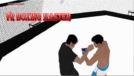VR BOXING MASTER