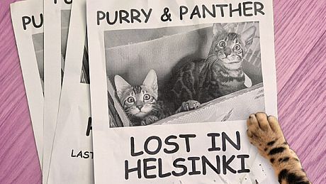 Purry & Panther: Lost in Helsinki Game