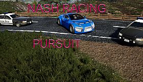 Nash Racing: Pursuit