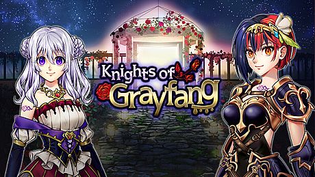 Damage x2 - Knights of Grayfang DLC