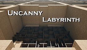 The Maze Survivor: The 9th Entrants