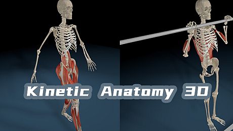 Kinetic Anatomy 3D Game
