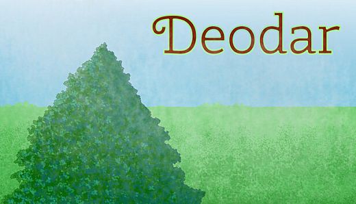 Deodar
