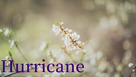 Hurricane