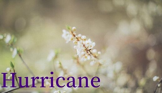 Hurricane