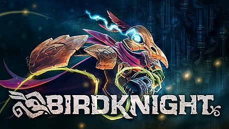 BirdKnight Game