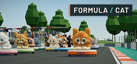 Formula Cat Game