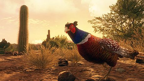 theHunter Call of the Wild - Rancho del Arroyo Bundle