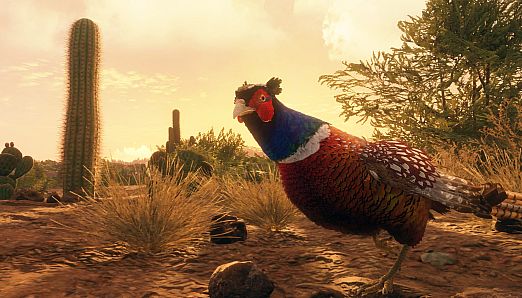 theHunter Call of the Wild - Rancho del Arroyo