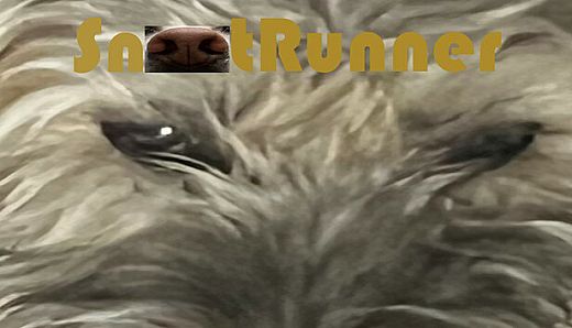 Snoot Runner