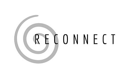 Reconnect Game