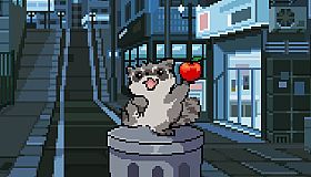 Raccoon is Hungry