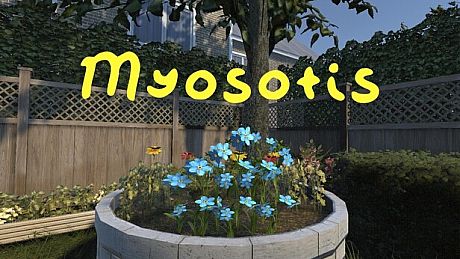 Myosotis Game