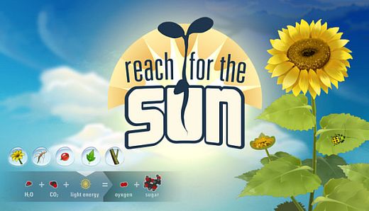 Reach for the Sun