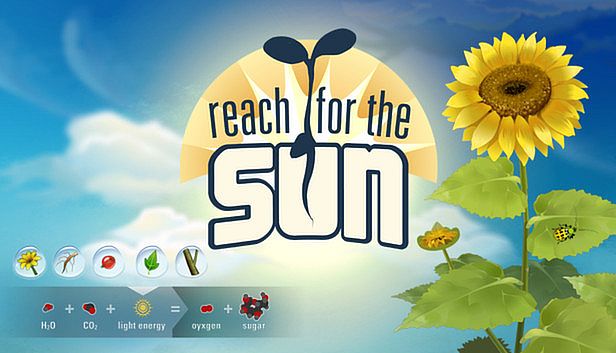 Buy Reach for the Sun