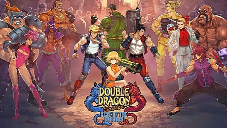 Double Dragon Gaiden: Rise Of The Dragons Game