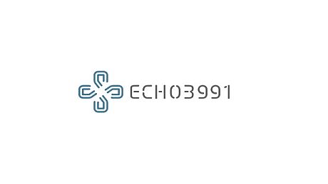 ECHO3991 Game
