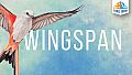 Tabletopia - Wingspan