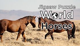 Jigsaw Puzzle World - Horses