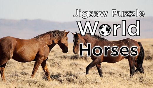 Jigsaw Puzzle World - Horses