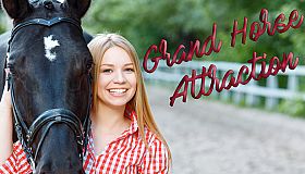 Grand horse attraction