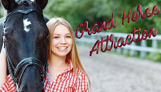 Grand horse attraction