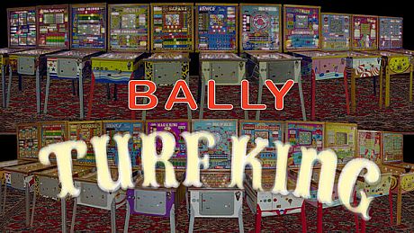 Bingo Pinball Gameroom - Bally Turf King DLC