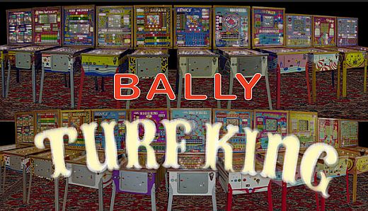 Bingo Pinball Gameroom - Bally Turf King