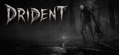 Drident
