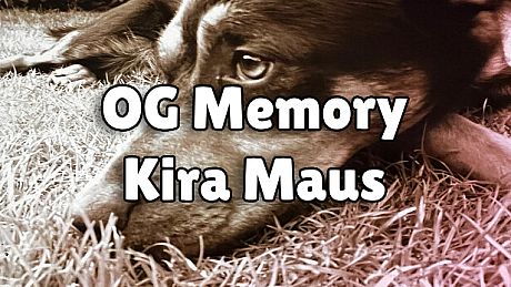 OG Memory: Kira Maus Game