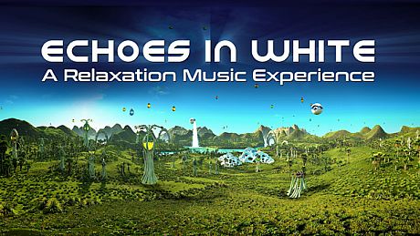 Echoes in White Game