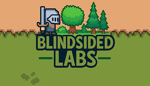Blindsided Labs
