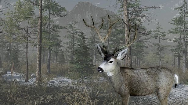 Buy Pro Deer Hunting Out West