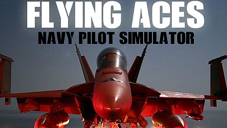 Flying Aces - Navy Pilot Simulator Game