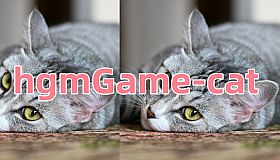 hgmGame-cat