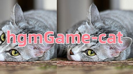 hgmGame-cat Game